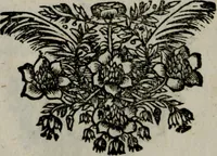 An illustration from Die ihren Gott liebende Seele, vorgestellt in den Sinnbildern des Hermanni Hugonis über seine Pia desideria, und des Ottonis Vaenii, über die Liebe Gottes, mit neuen Kupffern und Versen, welche zielen auf das innere Christenthum, aus dem Frantzösischen ins Teutsche übersetzt (1743)