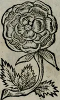 An illustration from Die ihren Gott liebende Seele, vorgestellt in den Sinnbildern des Hermanni Hugonis über seine Pia desideria, und des Ottonis Vaenii, über die Liebe Gottes, mit neuen Kupffern und Versen, welche zielen auf das innere Christenthum, aus dem Frantzösischen ins Teutsche übersetzt (1743)