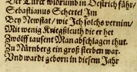An illustration from Die Jahr Blum : welch da begreifft v[n]d in sich helt fast alle Iahren dieser Welt. Namhafft Persone[n], Stedt vnd Lant hieraus dir werden mit bekant. In guter Ordnung (auch mit Fleis gantz kurtz gefast, und Reime[n] weis vil mercklich Thaten vnd Geschicht (1595)