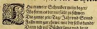 An illustration from Die Jahr Blum : welch da begreifft v[n]d in sich helt fast alle Iahren dieser Welt. Namhafft Persone[n], Stedt vnd Lant hieraus dir werden mit bekant. In guter Ordnung (auch mit Fleis gantz kurtz gefast, und Reime[n] weis vil mercklich Thaten vnd Geschicht (1595)