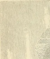 An illustration from Die kaiserlichen Burgen und Schlösser in Bild und Wort. Auf Grund von Quellenwerken dargestellt (1880)