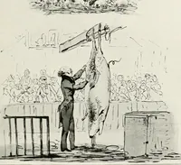 An illustration from Die Karikatur und Satire in der Medizin : mediko-kunsthistorische Studie (1921)