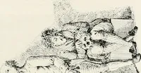 An illustration from Die Karikatur und Satire in der Medizin : mediko-kunsthistorische Studie (1921)