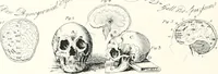 An illustration from Die Karikatur und Satire in der Medizin : mediko-kunsthistorische Studie (1921)