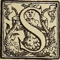 An illustration from Die Krone der kunstfertigen Frauen : Musterbuch, 1691 [i.e. 1601] (1891)