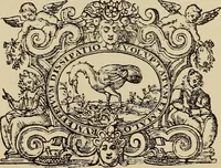 An illustration from Die Krone der kunstfertigen Frauen : Musterbuch, 1691 [i.e. 1601] (1891)