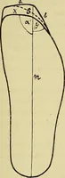 An illustration from Die Kultur des weiblichen Körpers als Grundlage der Frauenkleidung (1902)