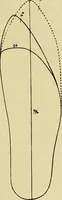An illustration from Die Kultur des weiblichen Körpers als Grundlage der Frauenkleidung (1902)