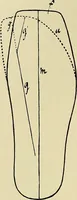 An illustration from Die Kultur des weiblichen Körpers als Grundlage der Frauenkleidung (1902)