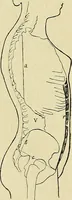 An illustration from Die Kultur des weiblichen Körpers als Grundlage der Frauenkleidung (1902)