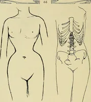 An illustration from Die Kultur des weiblichen Körpers als Grundlage der Frauenkleidung (1902)