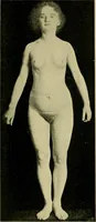 An illustration from Die Kultur des weiblichen Körpers als Grundlage der Frauenkleidung (1902)