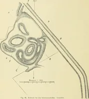An illustration from Die Kunstdenkmaler des Kreises Rees (1892)