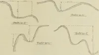 An illustration from Die Kunstdenkmaler der Stadte und Kreise Gladbach und Krefeld (1896)