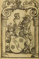Picture 3 of 94 from Die Kunst der Chiromantzey : vsz Besehung der Hend. Physiognomey / vsz Anblick des Menschens. Natürlichen Astrologey noch dem Lauff der Soñen. Complexion eins yegklichen Menschens. Natürlichen Ynflüssz der Planeten. der zwolff Zeichen Angesychten. Ettliche Canones / zu Erkantnüsz der Menschen Kranckheiten / solicher weisz vormals nye beschriben oder gedruckt. Zusamen verordnet / vnd verteütscht durch ... (1523), leaf 13
