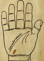Picture 9 of 94 from Die Kunst der Chiromantzey : vsz Besehung der Hend. Physiognomey / vsz Anblick des Menschens. Natürlichen Astrologey noch dem Lauff der Soñen. Complexion eins yegklichen Menschens. Natürlichen Ynflüssz der Planeten. der zwolff Zeichen Angesychten. Ettliche Canones / zu Erkantnüsz der Menschen Kranckheiten / solicher weisz vormals nye beschriben oder gedruckt. Zusamen verordnet / vnd verteütscht durch ... (1523), leaf 25