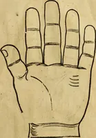 Picture 15 of 94 from Die Kunst der Chiromantzey : vsz Besehung der Hend. Physiognomey / vsz Anblick des Menschens. Natürlichen Astrologey noch dem Lauff der Soñen. Complexion eins yegklichen Menschens. Natürlichen Ynflüssz der Planeten. der zwolff Zeichen Angesychten. Ettliche Canones / zu Erkantnüsz der Menschen Kranckheiten / solicher weisz vormals nye beschriben oder gedruckt. Zusamen verordnet / vnd verteütscht durch ... (1523), leaf 34