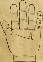 Picture 31 of 94 from Die Kunst der Chiromantzey : vsz Besehung der Hend. Physiognomey / vsz Anblick des Menschens. Natürlichen Astrologey noch dem Lauff der Soñen. Complexion eins yegklichen Menschens. Natürlichen Ynflüssz der Planeten. der zwolff Zeichen Angesychten. Ettliche Canones / zu Erkantnüsz der Menschen Kranckheiten / solicher weisz vormals nye beschriben oder gedruckt. Zusamen verordnet / vnd verteütscht durch ... (1523), leaf 60