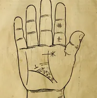 Picture 38 of 94 from Die Kunst der Chiromantzey : vsz Besehung der Hend. Physiognomey / vsz Anblick des Menschens. Natürlichen Astrologey noch dem Lauff der Soñen. Complexion eins yegklichen Menschens. Natürlichen Ynflüssz der Planeten. der zwolff Zeichen Angesychten. Ettliche Canones / zu Erkantnüsz der Menschen Kranckheiten / solicher weisz vormals nye beschriben oder gedruckt. Zusamen verordnet / vnd verteütscht durch ... (1523), leaf 67