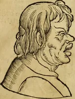 An illustration from Die Kunst der Chiromantzey : vsz Besehung der Hend. Physiognomey / vsz Anblick des Menschens. Natürlichen Astrologey noch dem Lauff der Soñen. Complexion eins yegklichen Menschens. Natürlichen Ynflüssz der Planeten. der zwolff Zeichen Angesychten. Ettliche Canones / zu Erkantnüsz der Menschen Kranckheiten / solicher weisz vormals nye beschriben oder gedruckt. Zusamen verordnet / vnd verteütscht durch ... (1523)