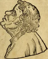 An illustration from Die Kunst der Chiromantzey : vsz Besehung der Hend. Physiognomey / vsz Anblick des Menschens. Natürlichen Astrologey noch dem Lauff der Soñen. Complexion eins yegklichen Menschens. Natürlichen Ynflüssz der Planeten. der zwolff Zeichen Angesychten. Ettliche Canones / zu Erkantnüsz der Menschen Kranckheiten / solicher weisz vormals nye beschriben oder gedruckt. Zusamen verordnet / vnd verteütscht durch ... (1523)