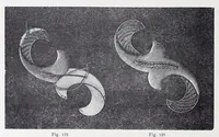 Picture 16 of 18 from Die Kunst der Goldstickerei nebst einer Anleitung zur Verwendung der Goldstickerei in Verbindung mit Application (1890), leaf 52