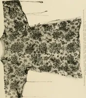 An illustration from Die Kunst des Zeugdrucks vom Mittelalter bis zur Empirezeit (1898)
