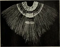 An illustration from Die Kunst- und Wunderkammern der Spätrenaissance : ein Beitrag zur Geschichte des Sammelwessens (1908)