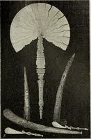 An illustration from Die Kunst- und Wunderkammern der Spätrenaissance : ein Beitrag zur Geschichte des Sammelwessens (1908)