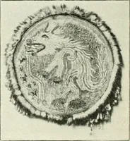 An illustration from Die Kunst- und Wunderkammern der Spätrenaissance : ein Beitrag zur Geschichte des Sammelwesens (1908)