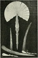 Picture 48 of 100 from Die Kunst- und Wunderkammern der Spätrenaissance : ein Beitrag zur Geschichte des Sammelwesens (1908), leaf 76