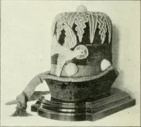 Picture 61 of 100 from Die Kunst- und Wunderkammern der Spätrenaissance : ein Beitrag zur Geschichte des Sammelwesens (1908), leaf 87