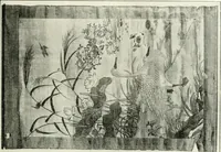 An illustration from Die Kunst- und Wunderkammern der Spätrenaissance : ein Beitrag zur Geschichte des Sammelwesens (1908)