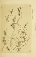 An illustration from Die Landschaft in der Kunst der alten Völker : eine Geschichte der Vorstufen und Anfänge der Landschaftsmalerei (1876)