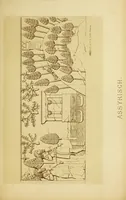 Picture 3 of 9 from Die Landschaft in der Kunst der alten Völker : eine Geschichte der Vorstufen und Anfänge der Landschaftsmalerei (1876), leaf 448