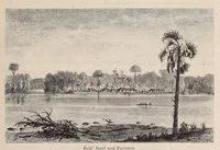 Picture 4 of 14 from Die Loango-Expedition ausgesandt von der Deutschen Gesellschaft zur Erforschung Aequatorial-Africas, 1873-1876. Ein Reisewerk in drei Abtheilungen (1888), leaf 121