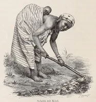 Picture 8 of 14 from Die Loango-Expedition ausgesandt von der Deutschen Gesellschaft zur Erforschung Aequatorial-Africas, 1873-1876. Ein Reisewerk in drei Abtheilungen (1888), leaf 322