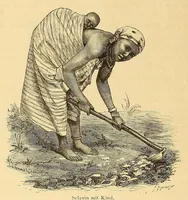 Picture 3 of 11 from Die Loango-Expedition ausgesandt von der Deutschen Gesellschaft zur Erforschung Aequatorial-Africas, 1873-1876 : ein Reisewerk in drei Abtheilungen (1879), leaf 322