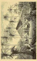 An illustration from Die Loango-Expedition ausgesandt von der Deutschen Gesellschaft zur Erforschung Aequatorial-Africas, 1873-1876 : ein Reisewerk in drei Abtheilungen (1879)