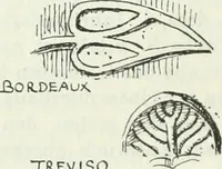 An illustration from Die älteste Kunst, insbesondere di Baukunst, der Germanen (1909)