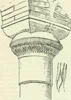 An illustration from Die älteste Kunst, insbesondere di Baukunst, der Germanen (1909)