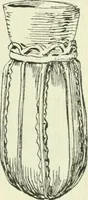 An illustration from Die älteste Kunst, insbesondere di Baukunst, der Germanen (1909)