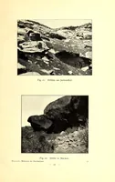 An illustration from Die Malereien der Buschmänner in Südafrika (1910)