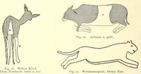 Picture 4 of 17 from Die Malereien der Buschmänner in Südafrika (1910), leaf 46