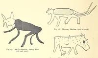 An illustration from Die Malereien der Buschmänner in Südafrika (1910)