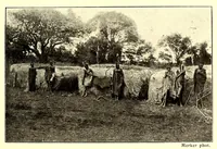 Picture 5 of 16 from Die Masai. Ethnographische Monographie eines ostafrikanischen Semitenvolkes (1910), leaf 109
