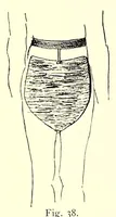 An illustration from Die Masai. Ethnographische Monographie eines ostafrikanischen Semitenvolkes (1910)