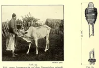Picture 14 of 16 from Die Masai. Ethnographische Monographie eines ostafrikanischen Semitenvolkes (1910), leaf 210