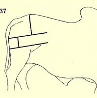 An illustration from Die Masai. Ethnographische Monographie eines ostafrikanischen Semitenvolkes (1910)