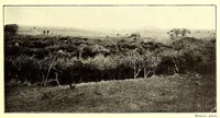 An illustration from Die Masai. Ethnographische Monographie eines ostafrikanischen Semitenvolkes (1910)